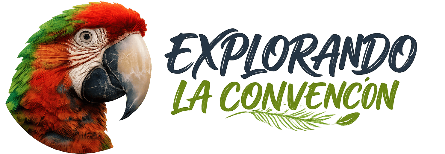 Logo Explorando La Convención